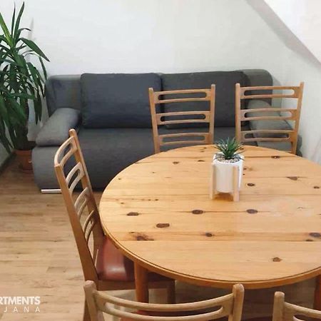 Huge Bbq Garden 2, Spacious Flat, Ac, Free Parking 2 Ljubljana Exteriör bild