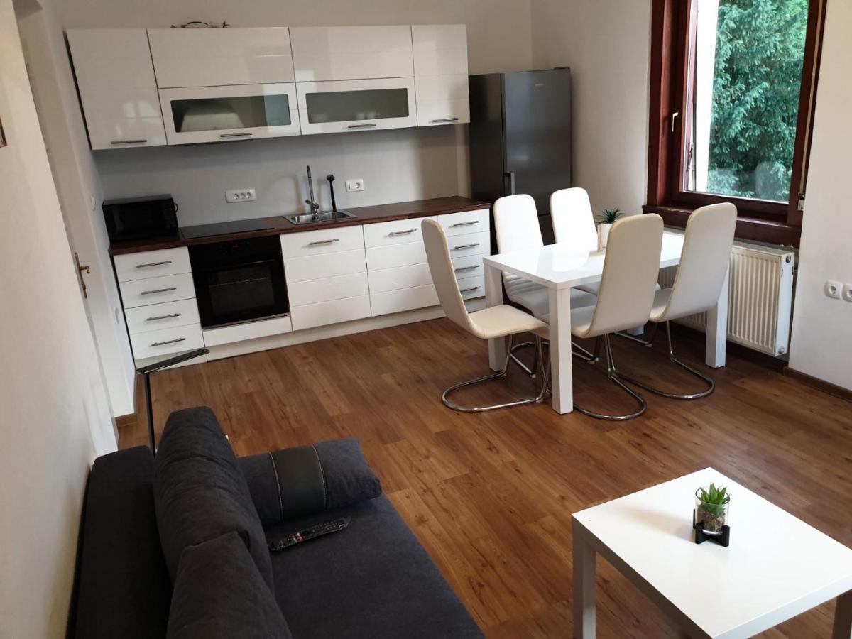 Huge Bbq Garden 2, Spacious Flat, Ac, Free Parking 2 Ljubljana Exteriör bild