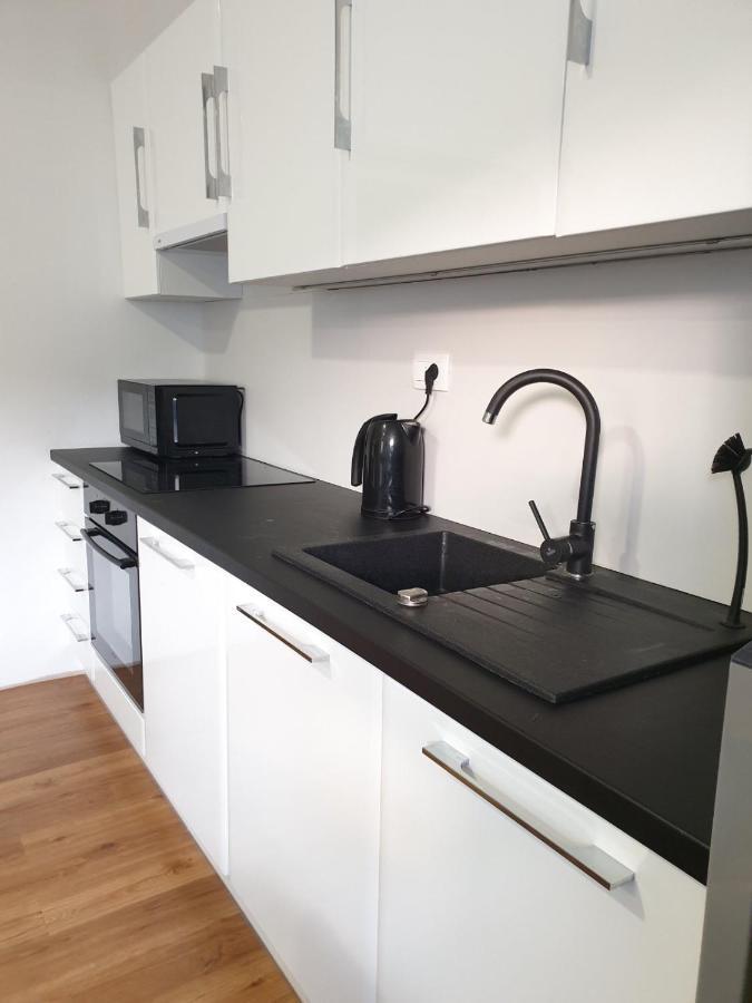 Huge Bbq Garden 2, Spacious Flat, Ac, Free Parking 2 Ljubljana Exteriör bild