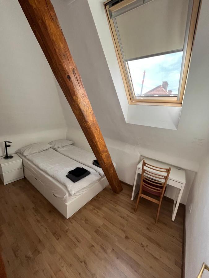 Huge Bbq Garden 2, Spacious Flat, Ac, Free Parking 2 Ljubljana Exteriör bild