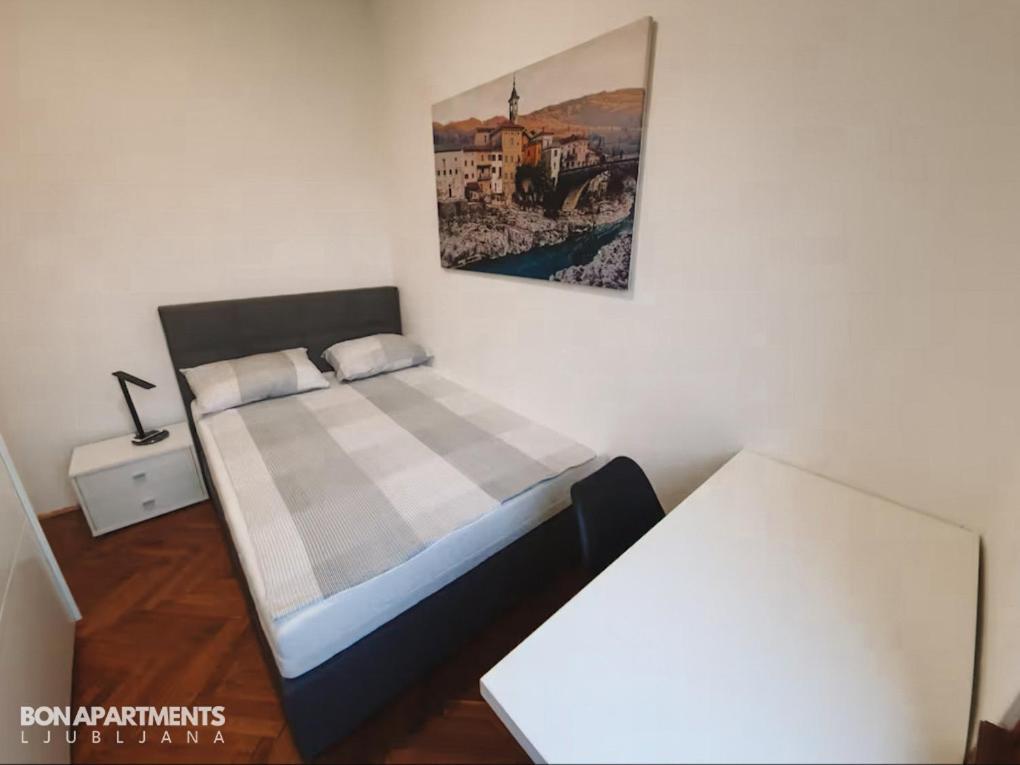 Huge Bbq Garden 2, Spacious Flat, Ac, Free Parking 2 Ljubljana Exteriör bild