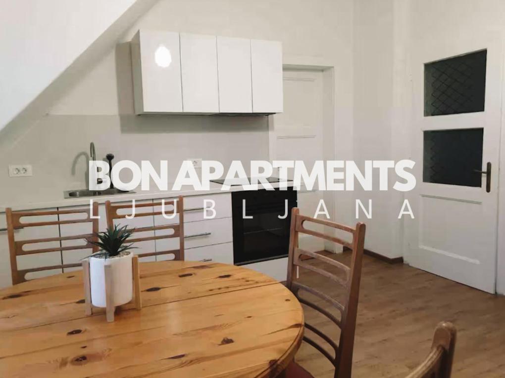 Huge Bbq Garden 2, Spacious Flat, Ac, Free Parking 2 Ljubljana Exteriör bild