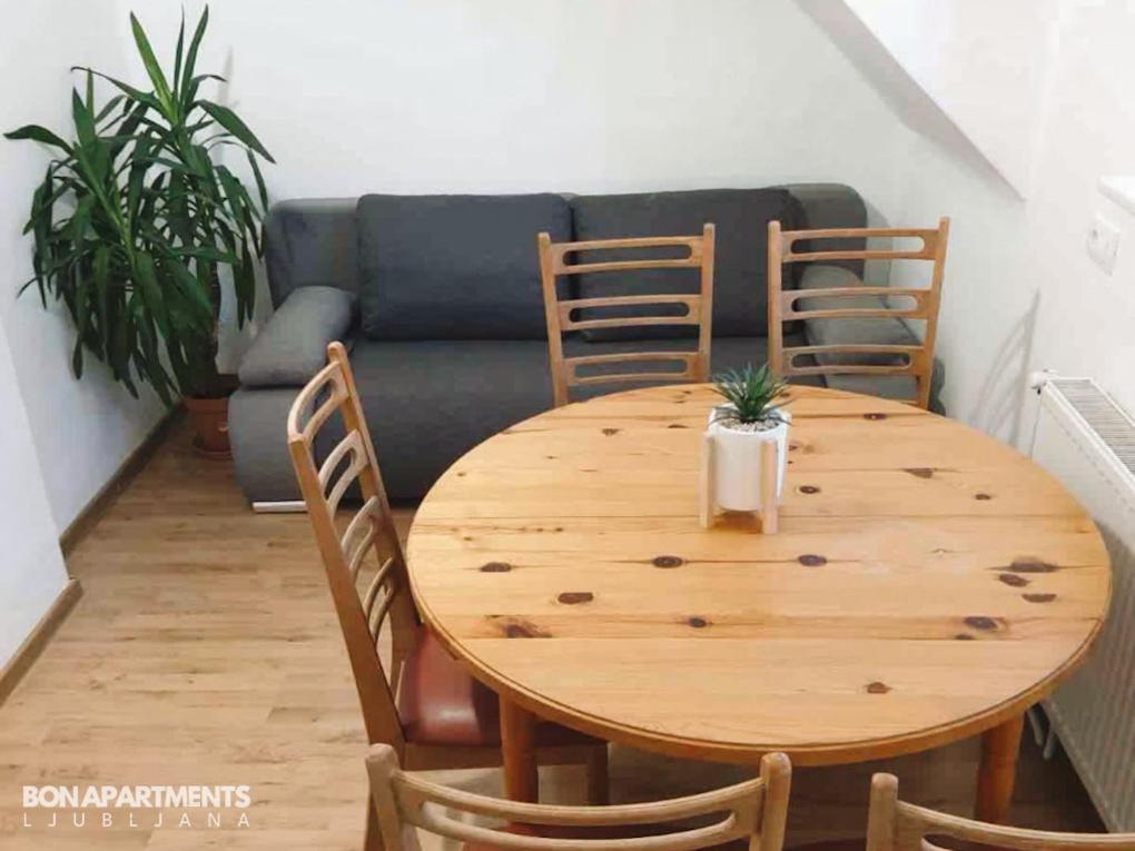 Huge Bbq Garden 2, Spacious Flat, Ac, Free Parking 2 Ljubljana Exteriör bild